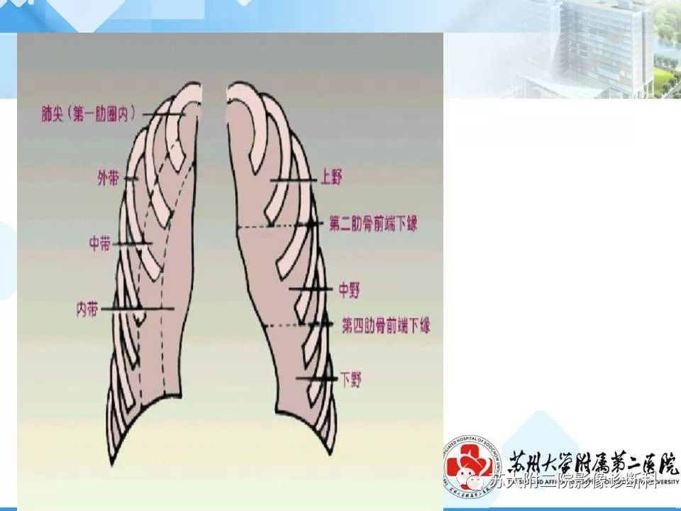 影像PPT - 【PPT】胸部X线平片的漏诊陷阱-15