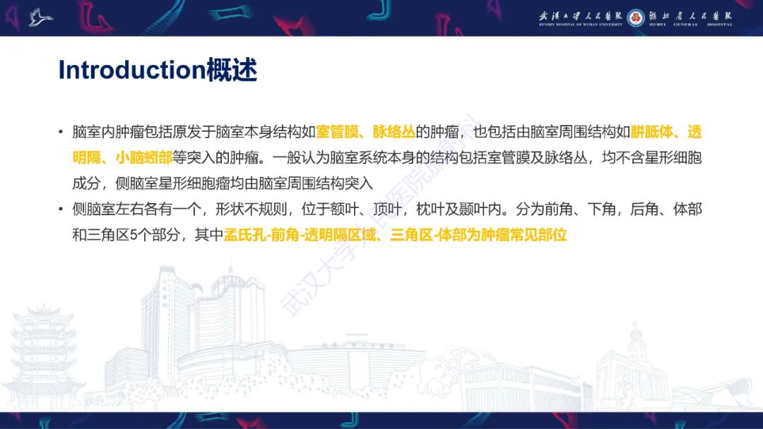 影像PPT - 【PPT】侧脑室肿瘤影像诊断-7
