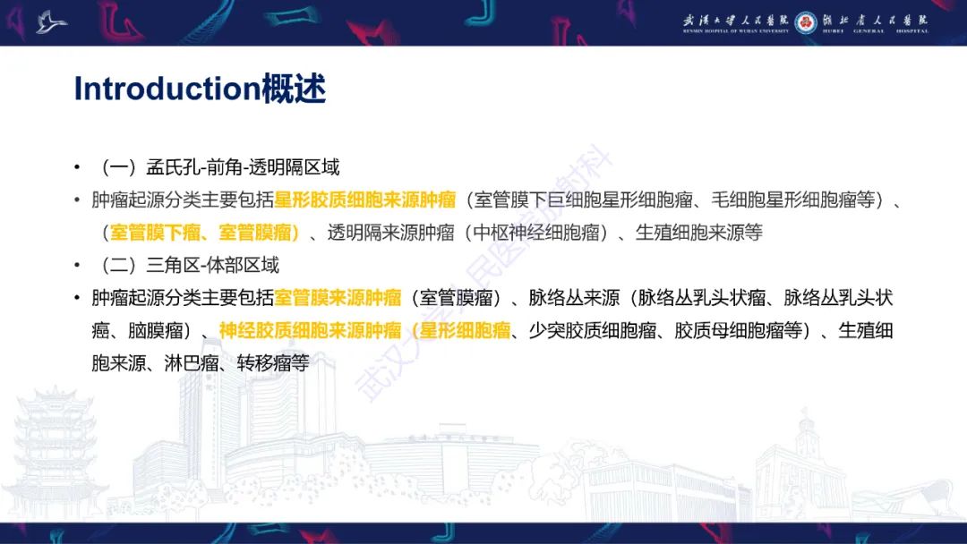 影像PPT - 【PPT】侧脑室肿瘤影像诊断-8