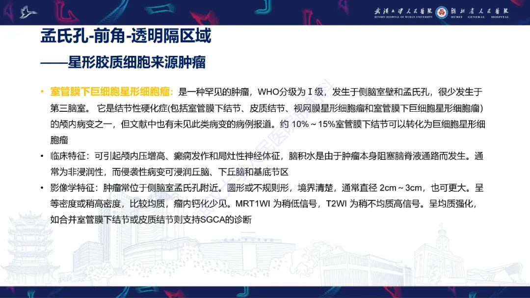 影像PPT - 【PPT】侧脑室肿瘤影像诊断-9