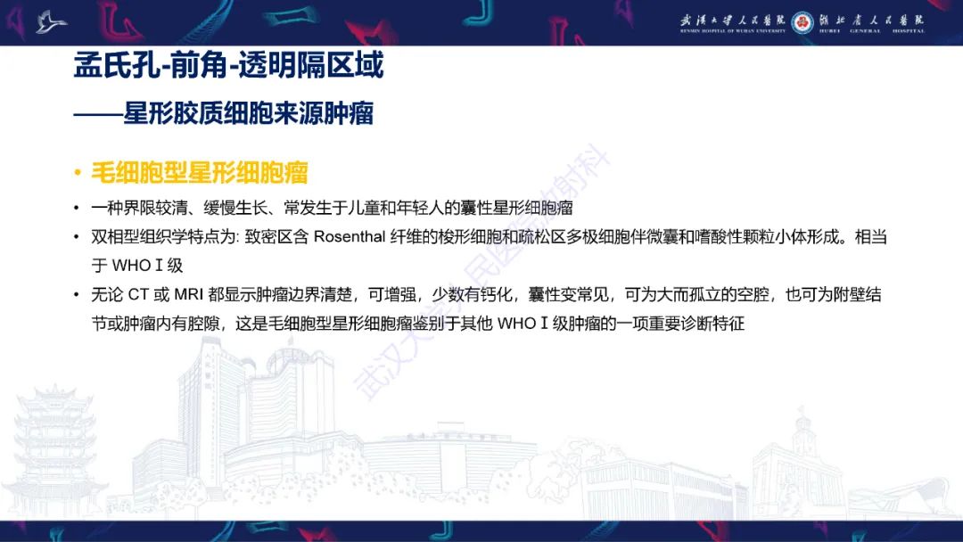 影像PPT - 【PPT】侧脑室肿瘤影像诊断-11