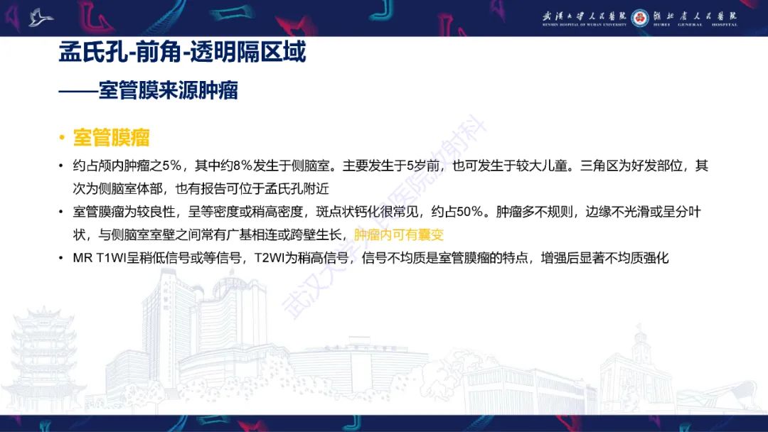 影像PPT - 【PPT】侧脑室肿瘤影像诊断-13