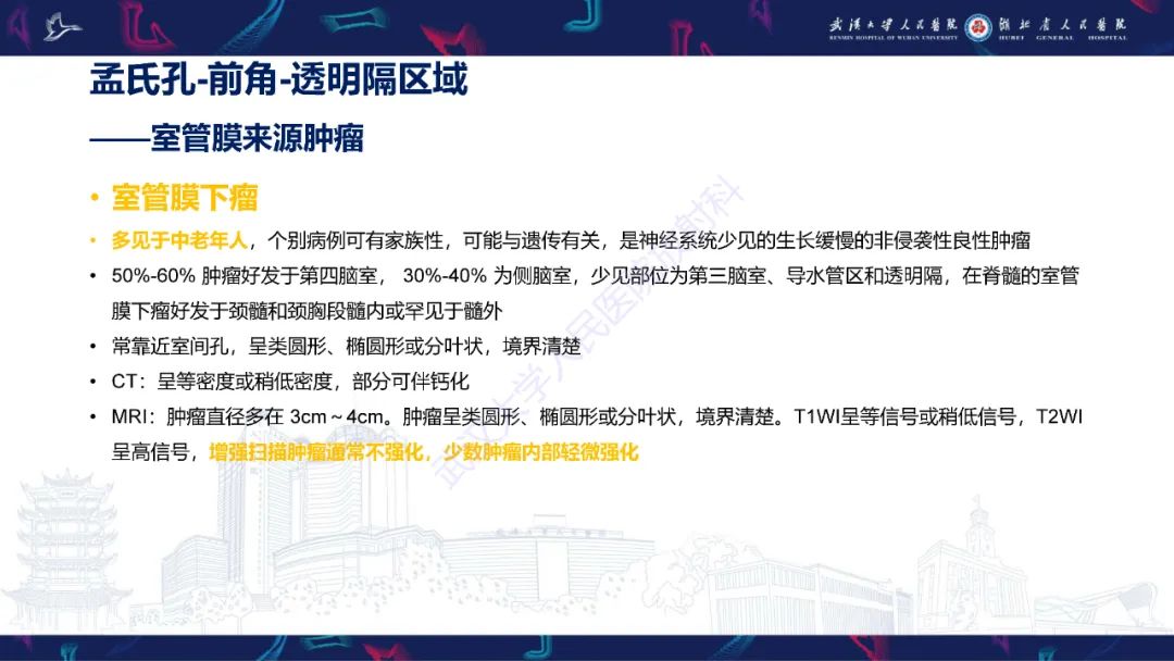 影像PPT - 【PPT】侧脑室肿瘤影像诊断-15