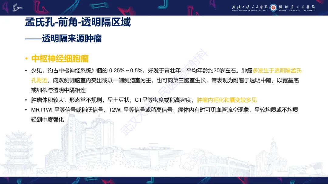 影像PPT - 【PPT】侧脑室肿瘤影像诊断-17