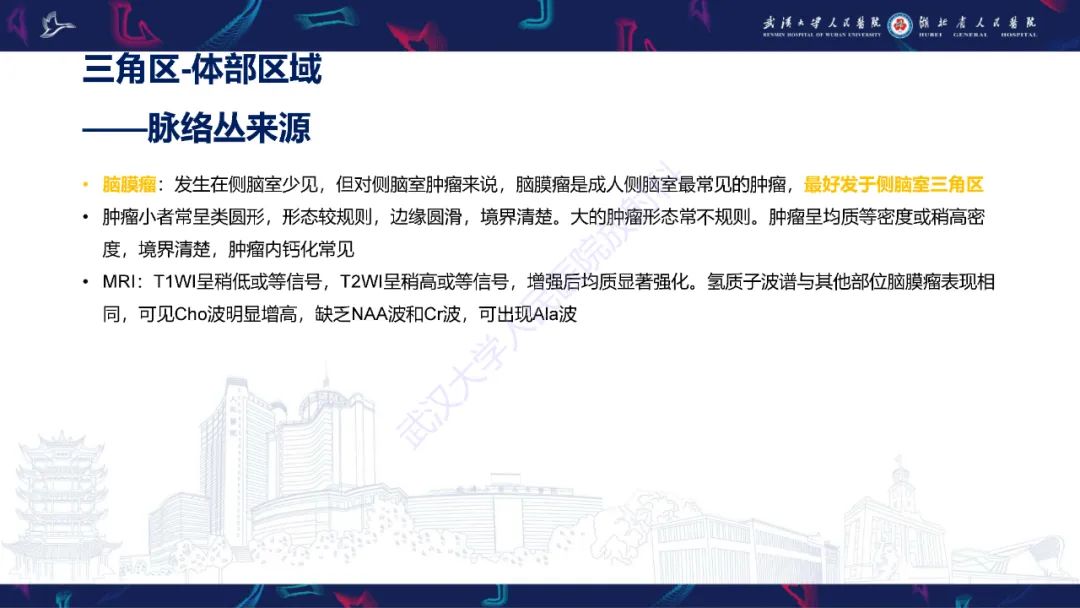 影像PPT - 【PPT】侧脑室肿瘤影像诊断-27