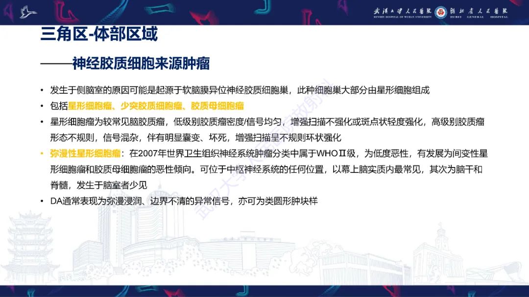 影像PPT - 【PPT】侧脑室肿瘤影像诊断-29