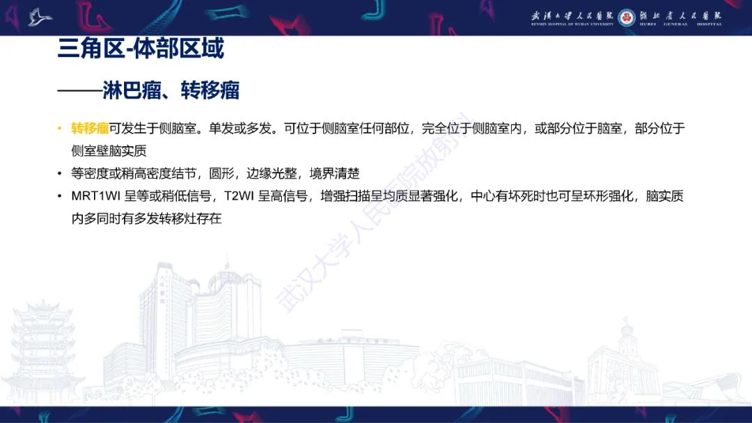 影像PPT - 【PPT】侧脑室肿瘤影像诊断-31