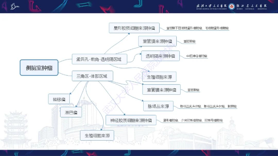 影像PPT - 【PPT】侧脑室肿瘤影像诊断-36