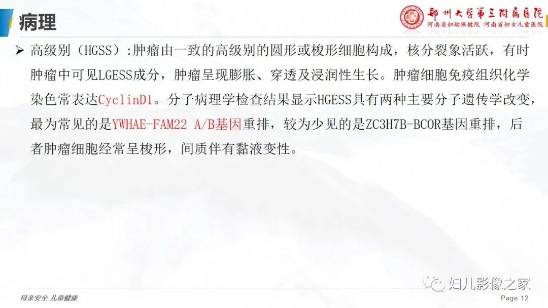 影像PPT - 【PPT】子宫内膜间质肉瘤的影像诊断-12