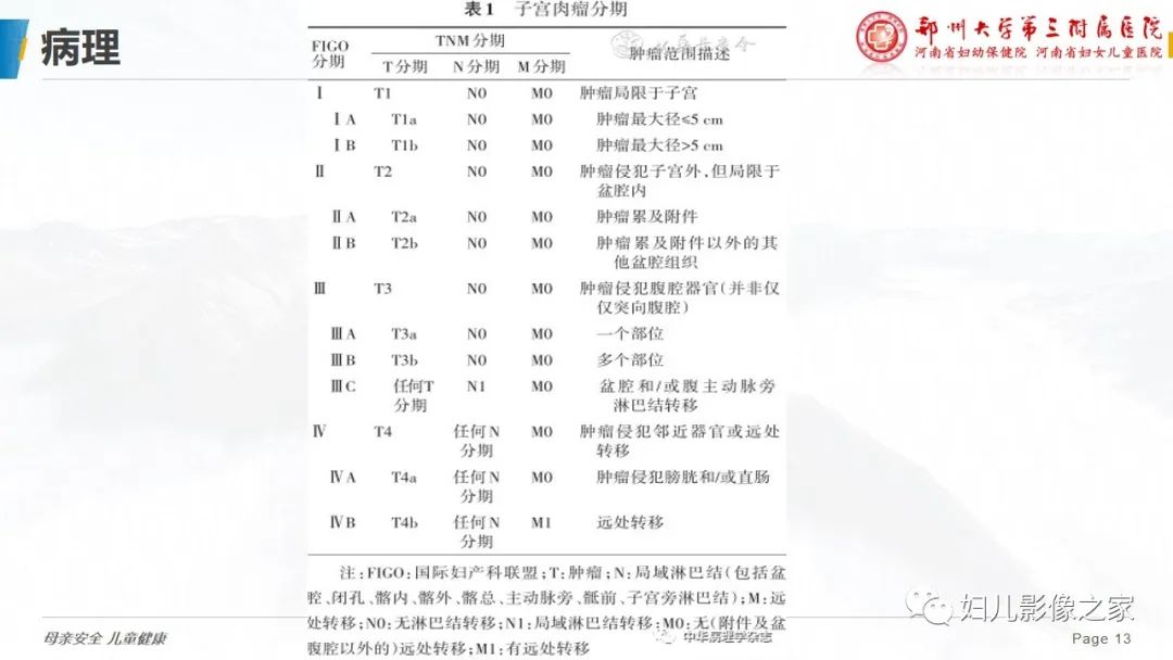 影像PPT - 【PPT】子宫内膜间质肉瘤的影像诊断-13