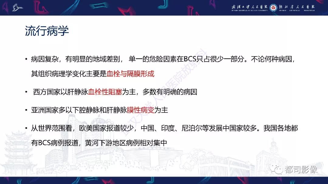 影像PPT - 【PPT】布加综合征影像学表现和鉴别诊断-3