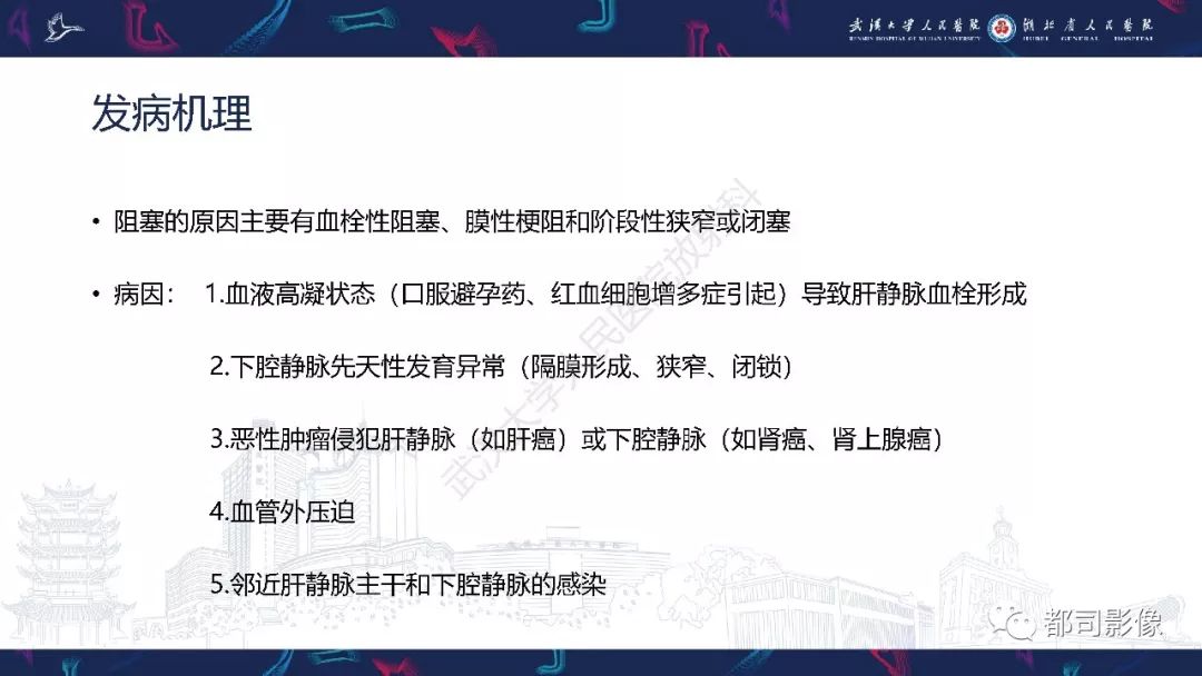 影像PPT - 【PPT】布加综合征影像学表现和鉴别诊断-5