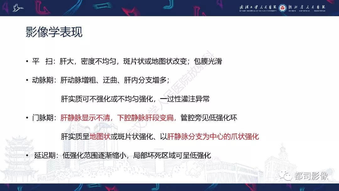 影像PPT - 【PPT】布加综合征影像学表现和鉴别诊断-19