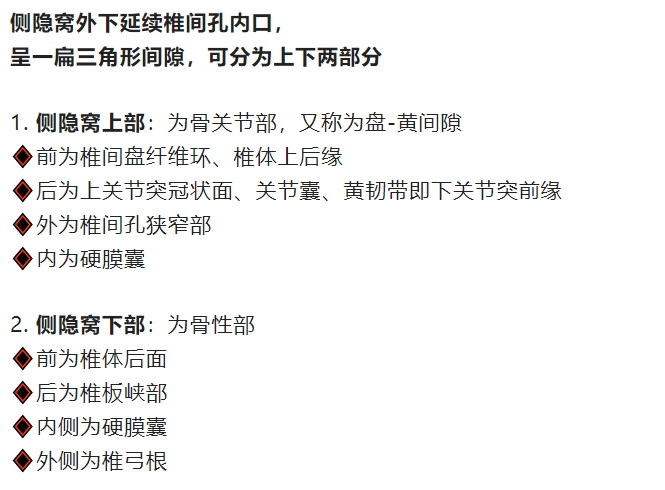 影像PPT - 侧隐窝详细解剖-4 影像PPT - 侧隐窝详细解剖-4