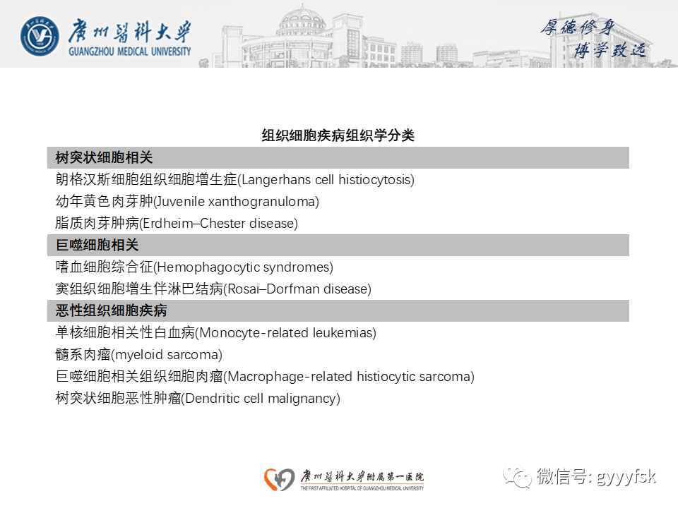 影像PPT - 【PPT】朗格汉斯细胞组织细胞增生症系统性影像表现-3