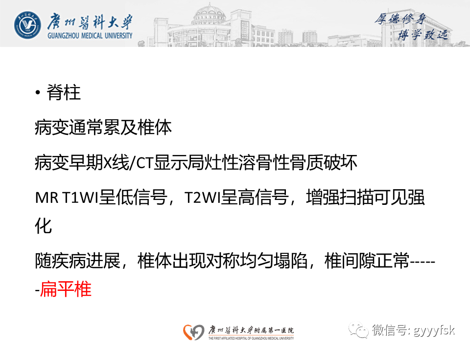 影像PPT - 【PPT】朗格汉斯细胞组织细胞增生症系统性影像表现-13