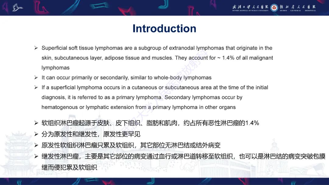 影像PPT - 【PPT】软组织淋巴瘤影像诊断-5