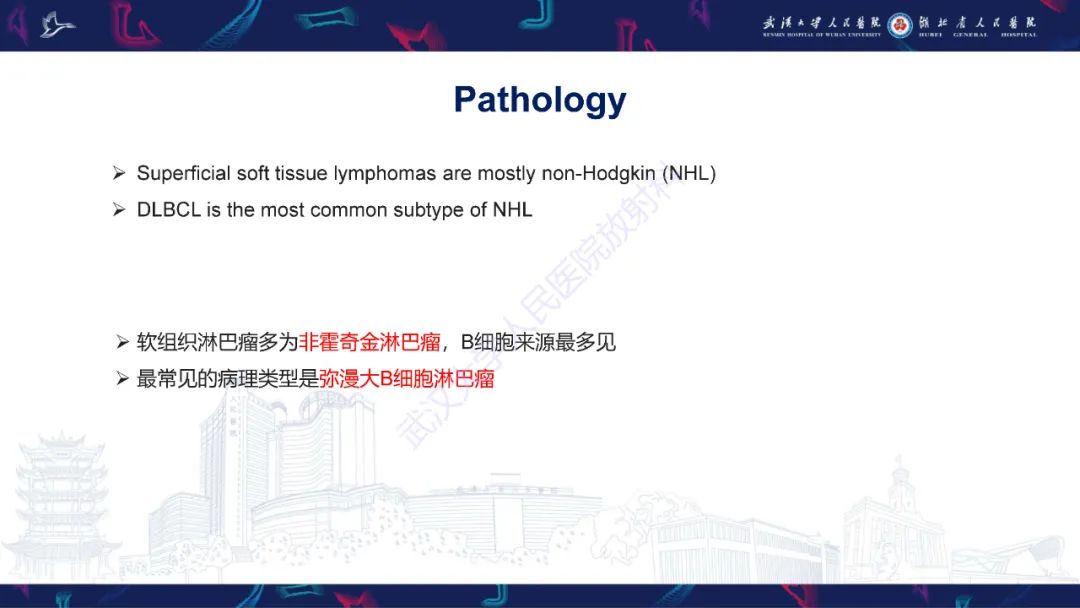 影像PPT - 【PPT】软组织淋巴瘤影像诊断-8