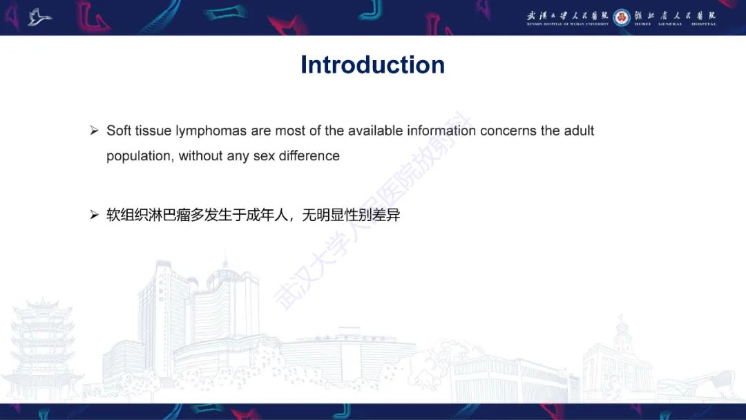 影像PPT - 【PPT】软组织淋巴瘤影像诊断-6