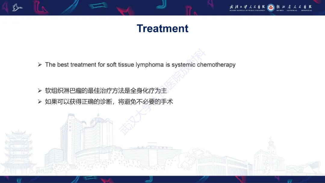 影像PPT - 【PPT】软组织淋巴瘤影像诊断-9