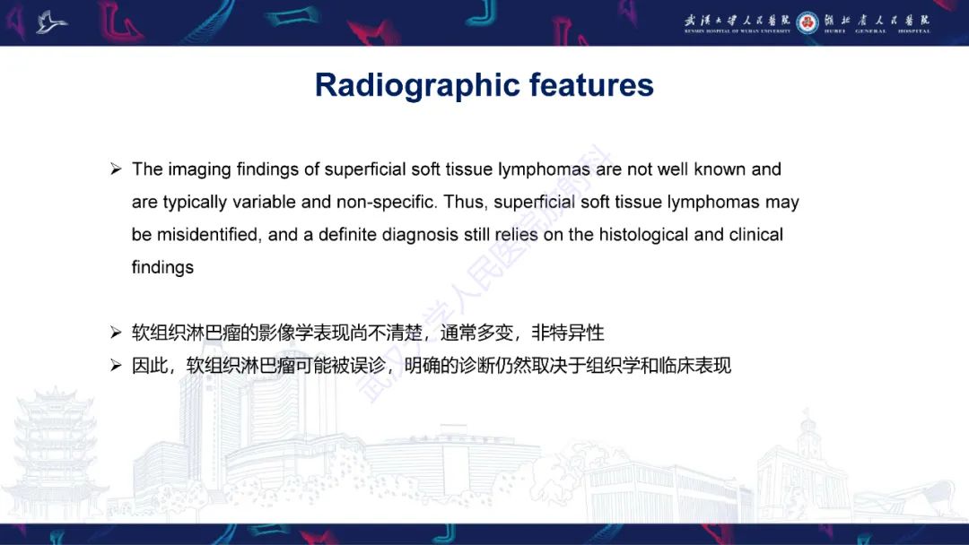 影像PPT - 【PPT】软组织淋巴瘤影像诊断-10