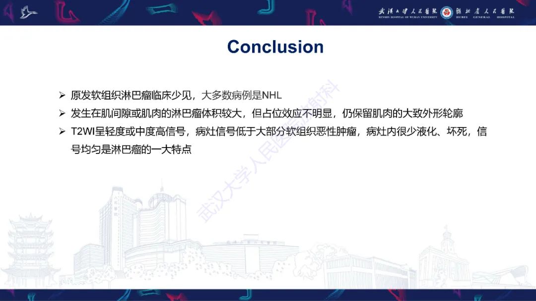 影像PPT - 【PPT】软组织淋巴瘤影像诊断-25