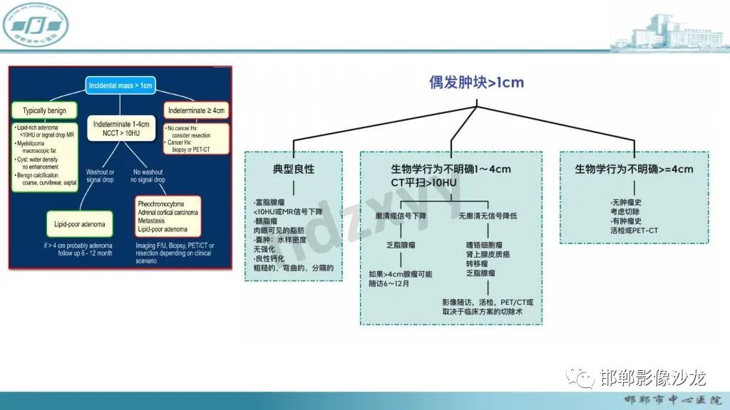 影像PPT - 【病例】肾上腺平滑肌肉瘤1例MR影像-27 影像PPT - 【病例】肾上腺平滑肌肉瘤1例MR影像-27