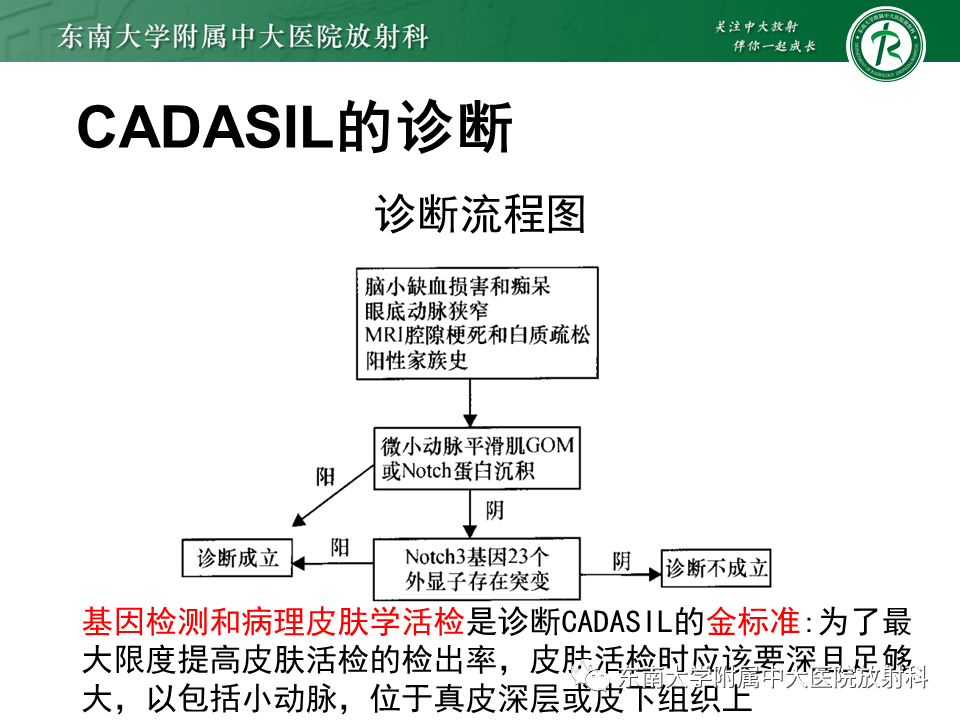 影像PPT - 【PPT】伴有皮质下梗死和白质脑病的常染色体显性遗传性脑动脉病(CADASIL)-18