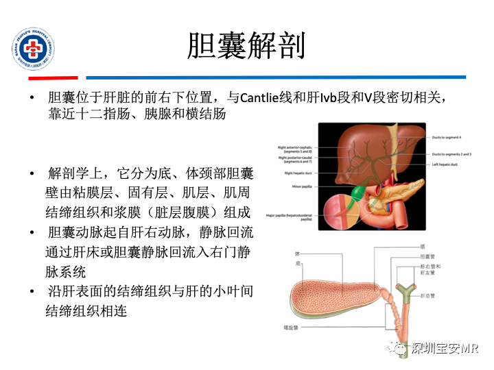 影像PPT - 【PPT】胆囊癌及其MRI上的鉴别诊断-3