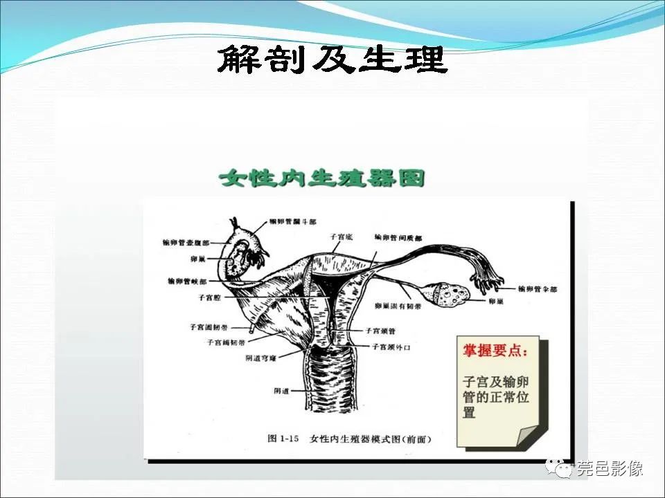影像PPT - 【病例】输卵管妊娠破裂1例B超及CT影像-18