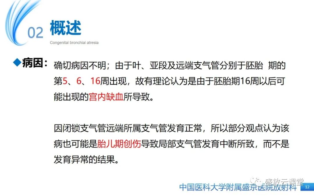影像PPT - 【PPT】先天性支气管闭锁-11