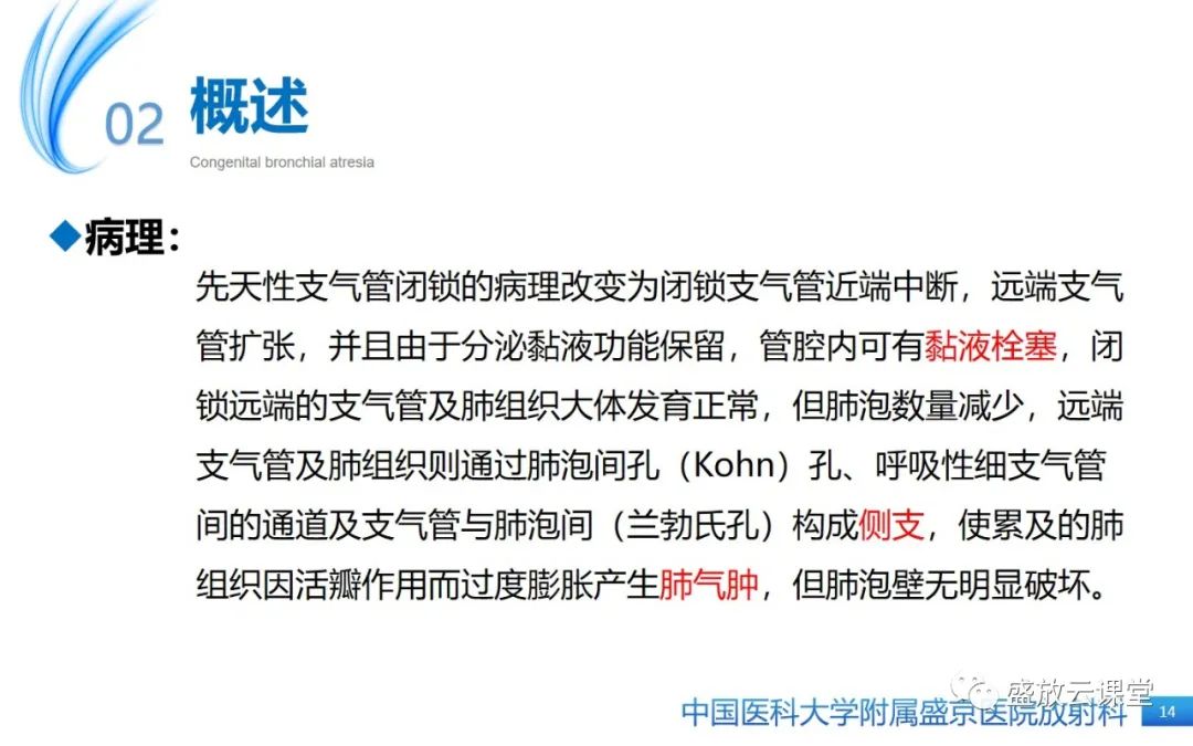 影像PPT - 【PPT】先天性支气管闭锁-13