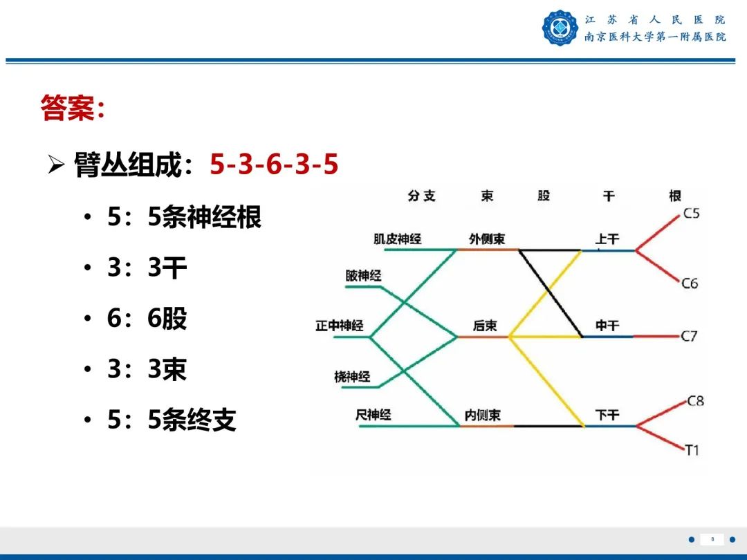 影像PPT - 【PPT】臂丛病变-9