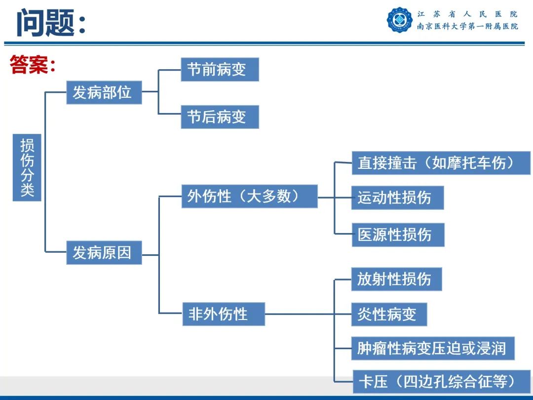 影像PPT - 【PPT】臂丛病变-20