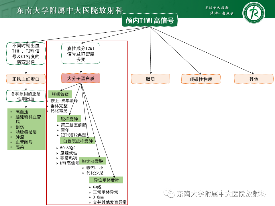 影像PPT - 【PPT】成人颅内T1WI高信号病例随访-36