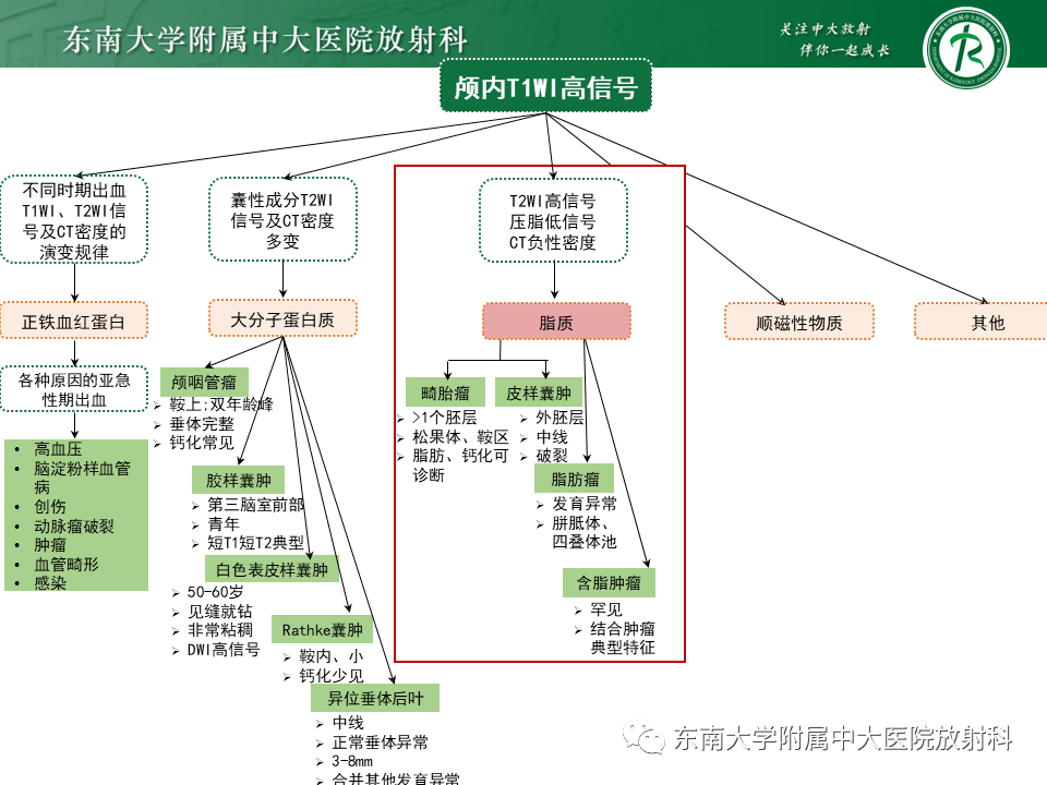 影像PPT - 【PPT】成人颅内T1WI高信号病例随访-41