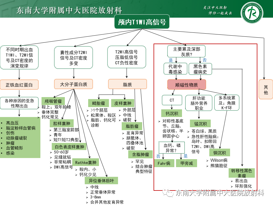 影像PPT - 【PPT】成人颅内T1WI高信号病例随访-48