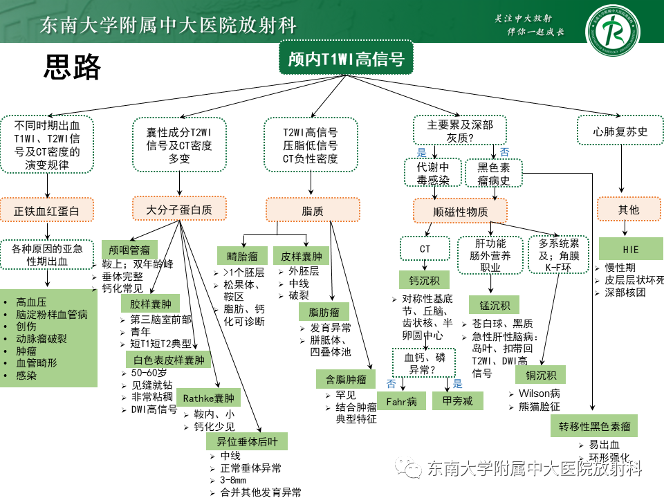 影像PPT - 【PPT】成人颅内T1WI高信号病例随访-51