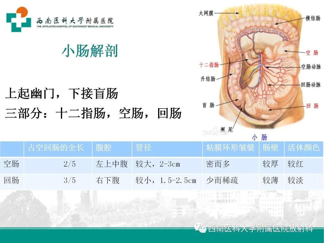 影像PPT - 【PPT】小肠CT检查技术及后处理-4