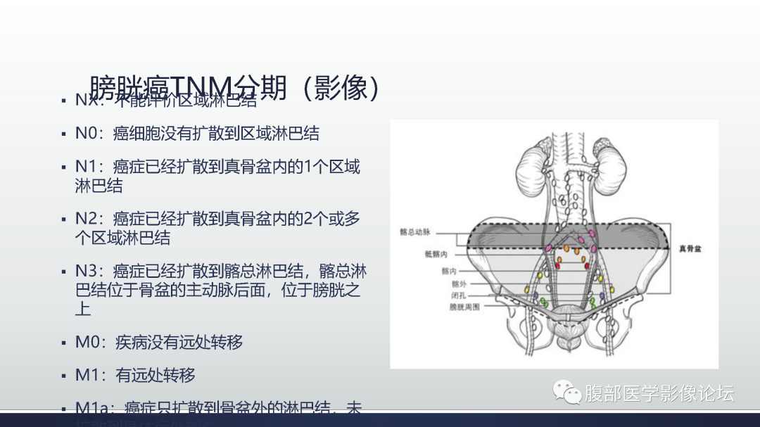 影像PPT - 【病例】膀胱非浸润性低级别乳头状尿路上皮癌1例MR影像-52