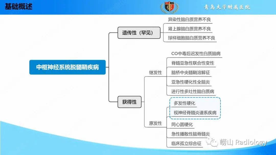 影像PPT - 【PPT】脱髓鞘疾病-5
