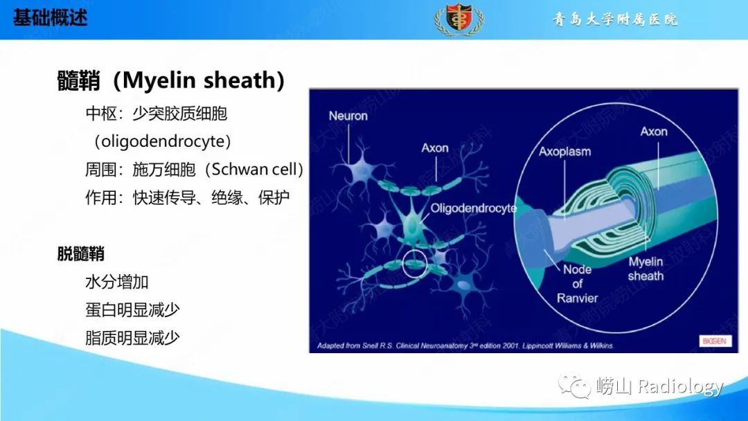 影像PPT - 【PPT】脱髓鞘疾病-3