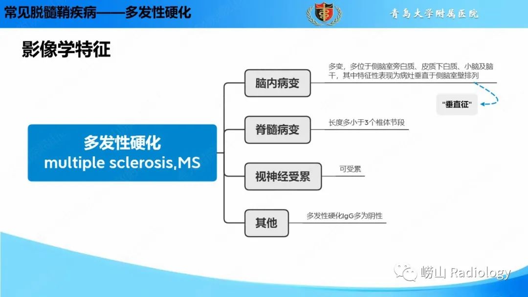 影像PPT - 【PPT】脱髓鞘疾病-9