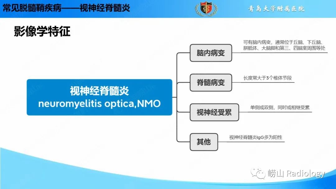 影像PPT - 【PPT】脱髓鞘疾病-20