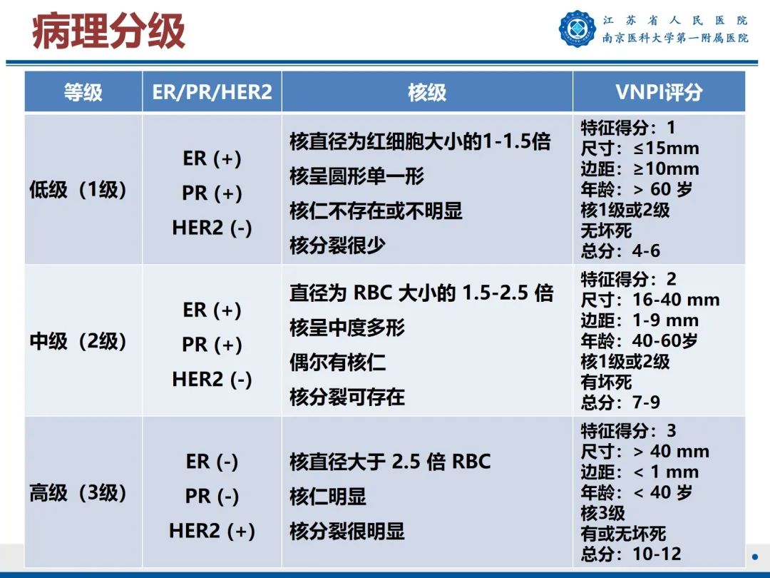 影像PPT - 【PPT】导管原位癌-31
