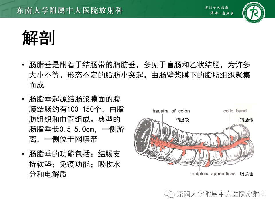 影像PPT - 【PPT】肠脂垂炎-4