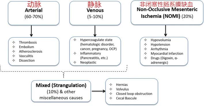 影像PPT - 肠缺血不同时期的影像分期-1 影像PPT - 肠缺血不同时期的影像分期-1
