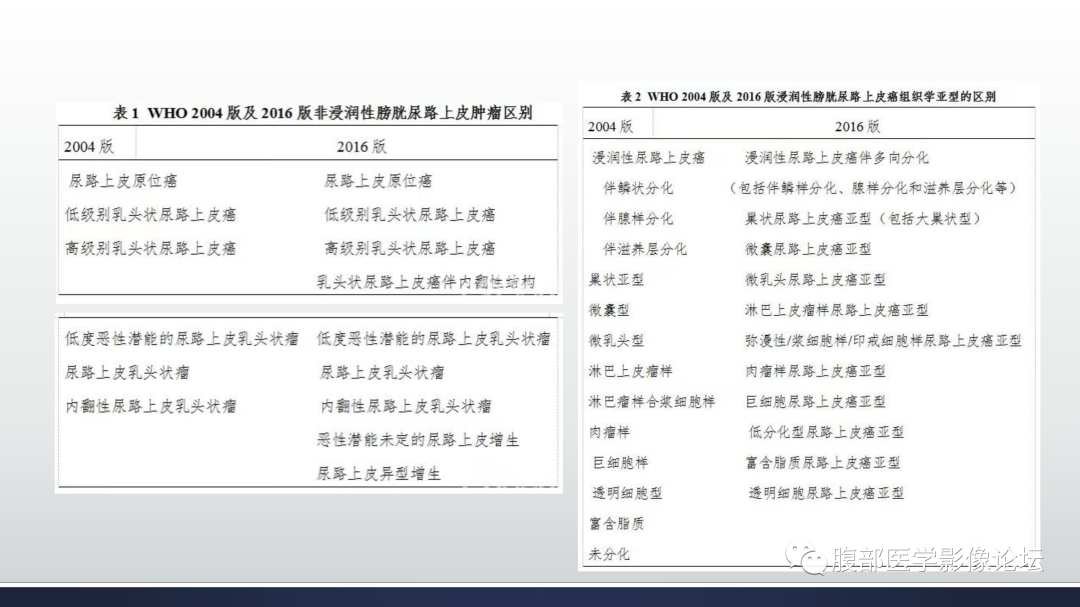 影像PPT - 【病例】膀胱癌—高级别浸润性尿路上皮癌1例CT及MR影像诊断及鉴别-12