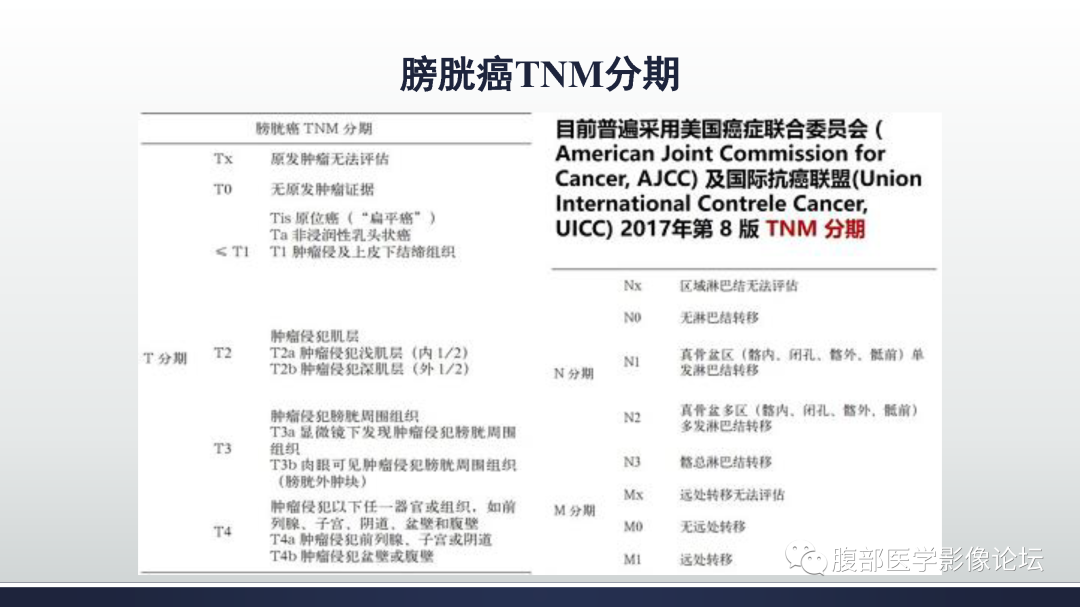 影像PPT - 【病例】膀胱癌—高级别浸润性尿路上皮癌1例CT及MR影像诊断及鉴别-26