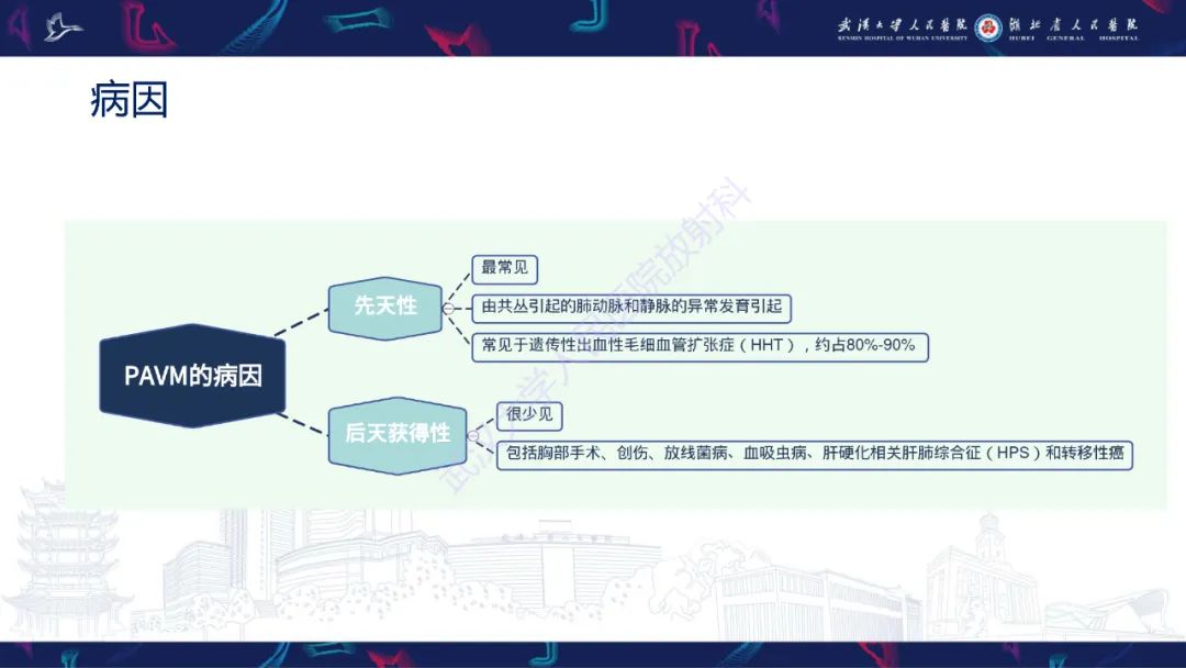 影像PPT - 【PPT】肺动静脉畸形CT诊断-8
